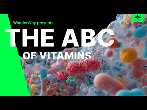 The ABC of Vitamins | Essential Vitamins Explained