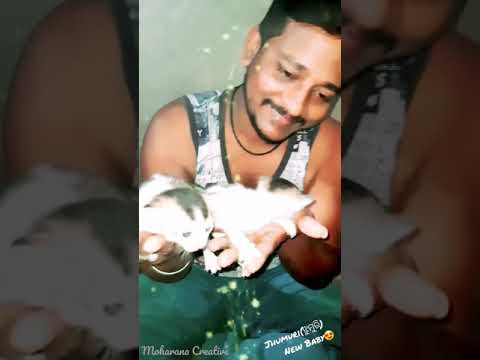 Jhumuri New Baby's