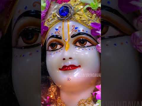 iskon vrindavan darshan 🥺💗#jaijaishreeradhe#krishnaconsciousness #vrindavandham#barsana #radhikadas