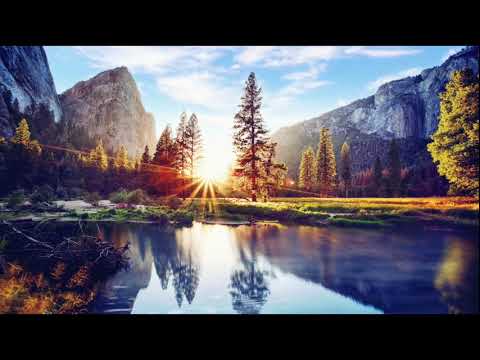 #shorts     Relaxing Music for Stress Relief, For body And Soul 🍁🌼