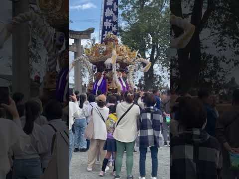 2024 富嶋神社 黒崎屋台 宮入り