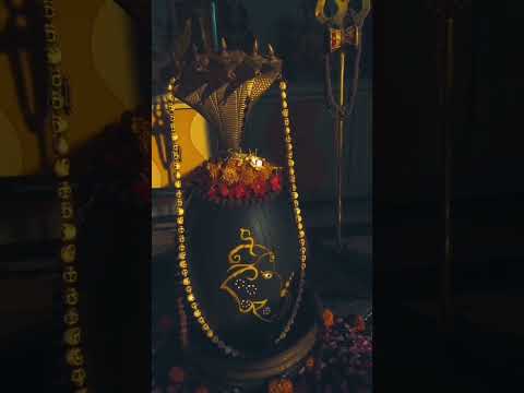 rudrashtakam #vrindavan_bhakti #shortsviral #shortsfeed #shorts #rudrashtakam