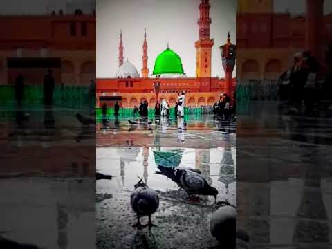 Jashn e Amad e Rasool - Farhan Ali Qadri #islam #freepalestine #shorts #youtubeshorts #shortvideo