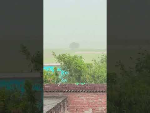 badal ko barasne se #song #music #hindisong #love #automobile #funny #bhojpurimusic #bollywood