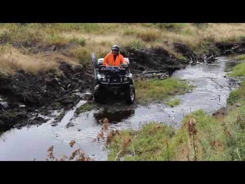 Washing The Quads