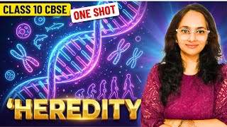 Heredity and Evolution Class 10 One Shot | Full Chapter in 9 Minutes! 🧬
