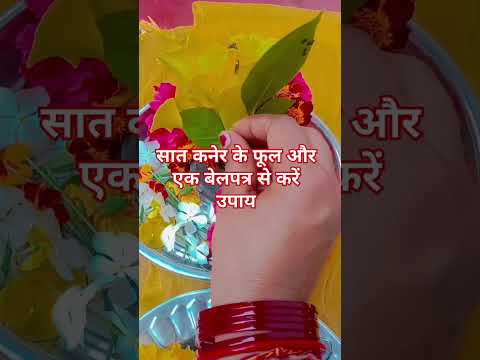 सात कनेर के फूल और एक बेलपत्र से करें उपाय#shortvideo #pradeepmishrajidhankeupay #trendingshorts