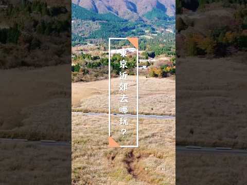 東京近郊去哪玩？