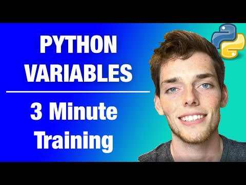 Python Variables | Three Minute Python Training | S1E1