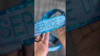 Types of Service Dog Harnesses #workingdog #servicedog #assistancedog #dog #dogs #dogharness