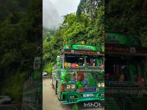 ඇපල් කෙල්ල King Of The ඇපල් @LNRBUSKINGDOM-dl9ql #bus