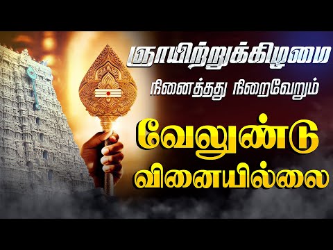 🔴LIVE SONGS | வியாழக்கிழமை கேட்க வேண்டிய வேலுண்டு வினையில்லை Murugan Song Tamil Murugan Songs