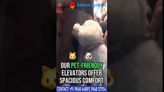 Vacuum Elevators: Where Technology and Convenience Meet for Your Lifestyle