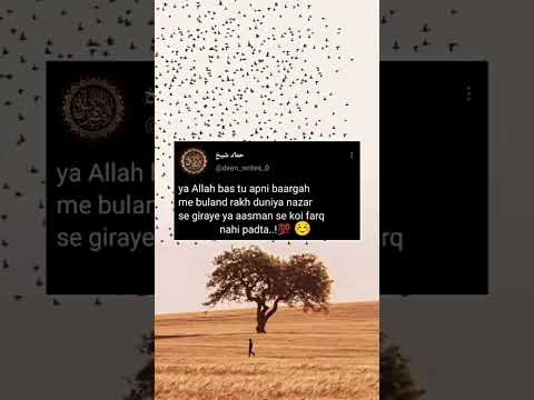 Deen ki baad #islamicstatus