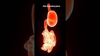 Do This For Best Digestion | Improve Digestion