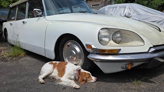This Old French Car Will Lift Your Spirit