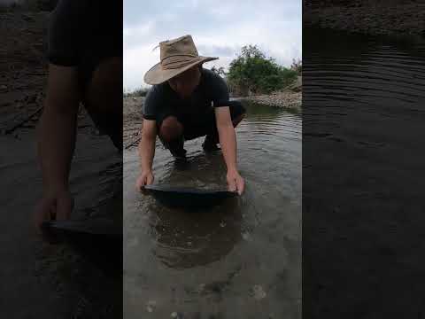 We Found GOLD Beneath the River Sand – Unbelievable Discovery! #gold #goldhunting