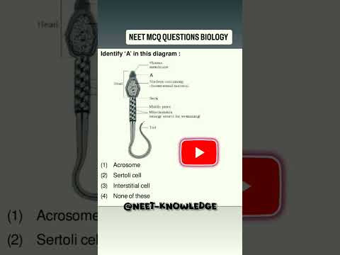Most Students Fail This NEET Question… Can You?#ncertbiology #pyq @NEET-Knowledge06