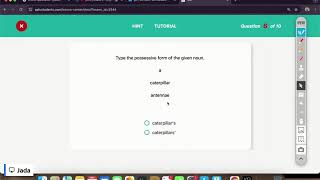 Grade 8 - English: Nouns