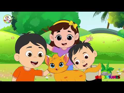 Meri Pyari Billi | Babies Songs | MoozyTunes #billi #cat #kitten #hindisongsforbabies #hindisongs