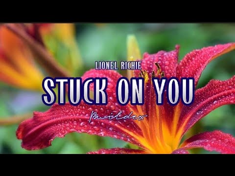 STUCK ON YOU | Lionel Richie | Buildex (Cover) | MusiKaraoke