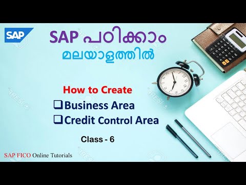 How to Create Business Area and Credit Control Area | Enterprise Structure | Class - 6
