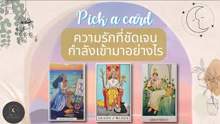 Pick a card♡°☆ความรักที่ชัดเจนกำลังเข้ามาอย่างไร🪴✨️🧡🌨#ดูดวง #ความรัก