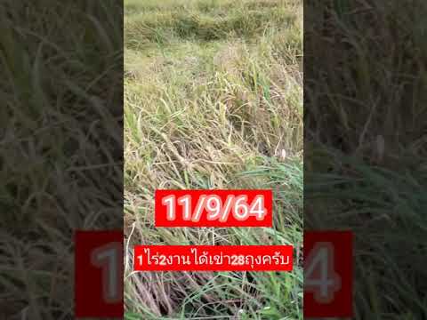 DC93ตะแกรงกลมล่าง4.5ตัดฟันนิดนึงฝนตกลินเกี่ยวต่อสบาย