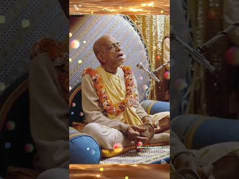 Purpose of Human life by Srila Prabhupada ji, #iskcon #prabhupadji #Radharani #krishna #radhakrishna