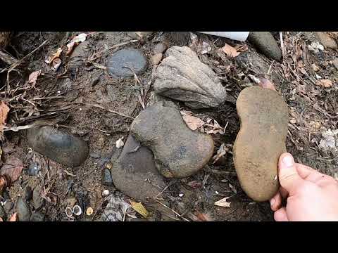 Paved With Ancient Artifacts