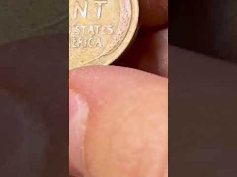 old wheat cent found!! #coins #wheatcents #numismatics