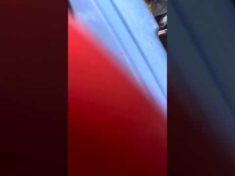 Just another video in the making of the life of Brad.