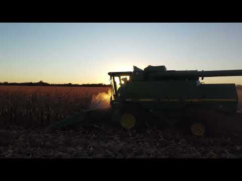 Corn Harvest 2024