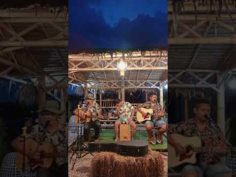จันทร์เจ้าเหอ COVER BY วง นกเภา