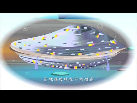 《爱护生命的故事》珍珠母贝的眼泪 (高清版)