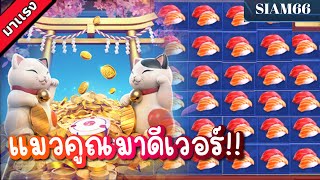 SIAM66 Lucky Neko | เนโกะนำโชค