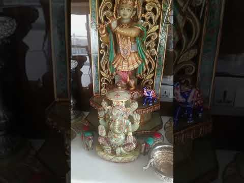 #home #1february #26february short video