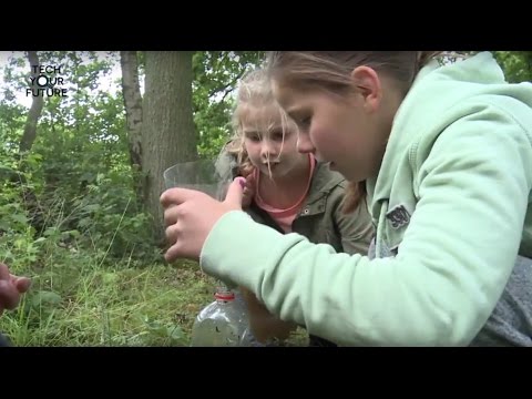 Good practice onderzoekende pabo: Onderzoek in de omgeving