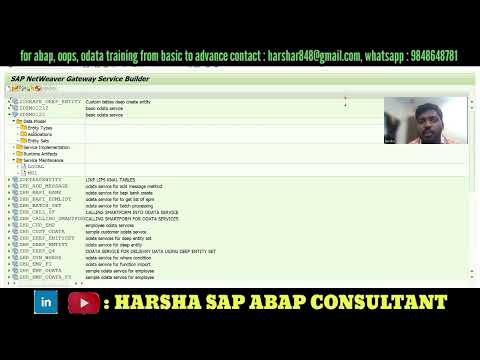explained entity type in odata