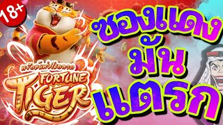 #siam66 Fortune Tiger Pg | ซองแดงมาว่ะ !! 🐯