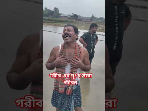 বৃষ্টিতে সব ফসল নষ্ট হয়ে গেছে ঠাকুরগাঁও বৃষ্টির পানিতে ডুবে গেছে অনেক