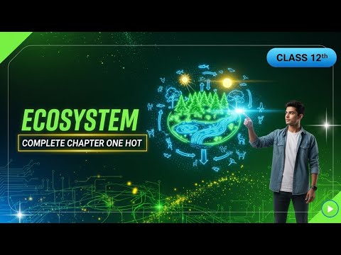 Complete ECOSYSTEM in One Video ⚡| Class 12 Biology For NEET 2026