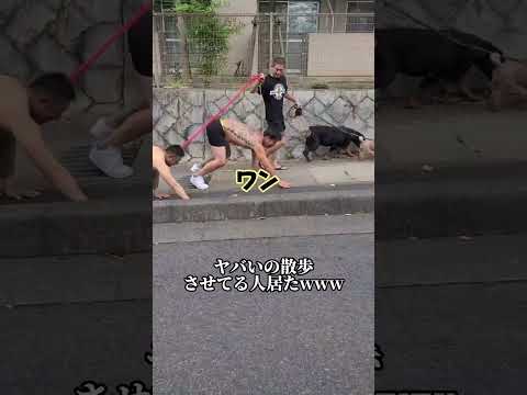 刺青の犬散歩させてる人おったwwww #shorts #散歩 #爆笑