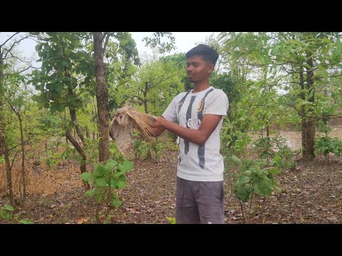 Save The Birds 🙏 | Aaj Eski Jaan Bacha Di