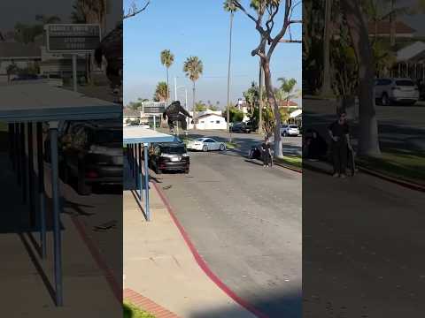 huge Ollie off the school house #skateboarding #skate #shorts