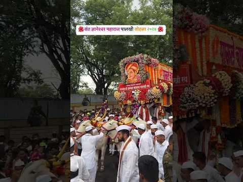 संत ज्ञानेश्वर महाराज पालखी सोहळा २०२४  #warkari #palkhisohla #vithumauli #pune #youtubeshort #mauli
