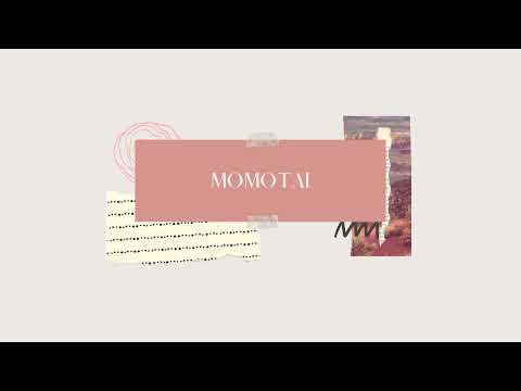 MoMoTai Live Stream