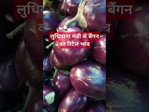 20 मार्च 2025 लुधियाना मंडी #बैंगन का रिटेल भाव#लुधियाना #vegetableprice