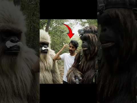 Bigfoot and Yeti Have a Guest | Vlog 16 #yeti #bigfootvlog #shorts