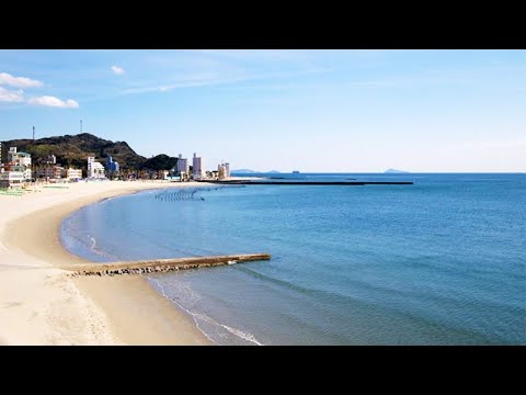南知多 内海海水浴海岸通り2024年